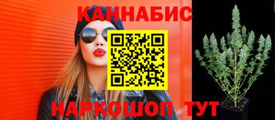 прущие грибы Рыбинск