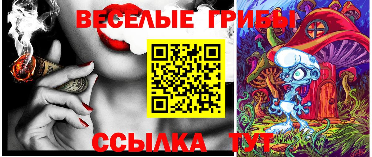 Галлюциногенные грибы мицелий Протвино